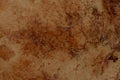 Mármol Travertino Rojo