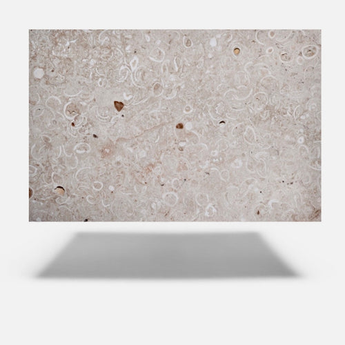 Cantera Conchuela - Venta por Pieza