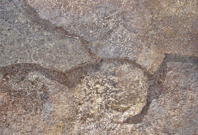 Cantera Arqueologíca