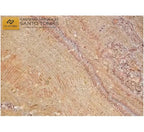 Cantera Arcoíris - Venta por Pieza