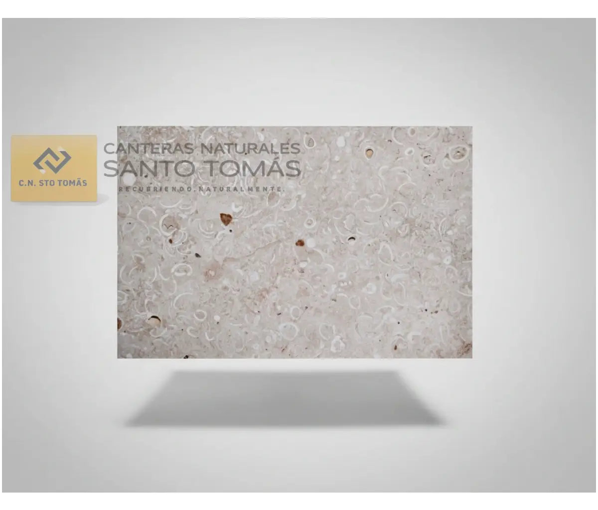 Cantera Conchuela - Venta por Pieza