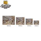 Canteras Naturales Santo Tomás Cantera Arqueológica stone tiles in various sizes with rustic artisanal texture.
