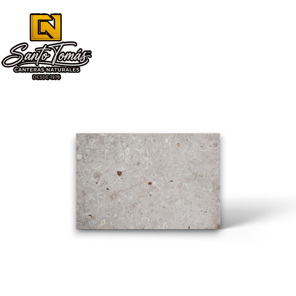 Canteras Naturales Santo Tomás cream-colored Conchuela stone tile with organic fossil patterns and a thin profile.