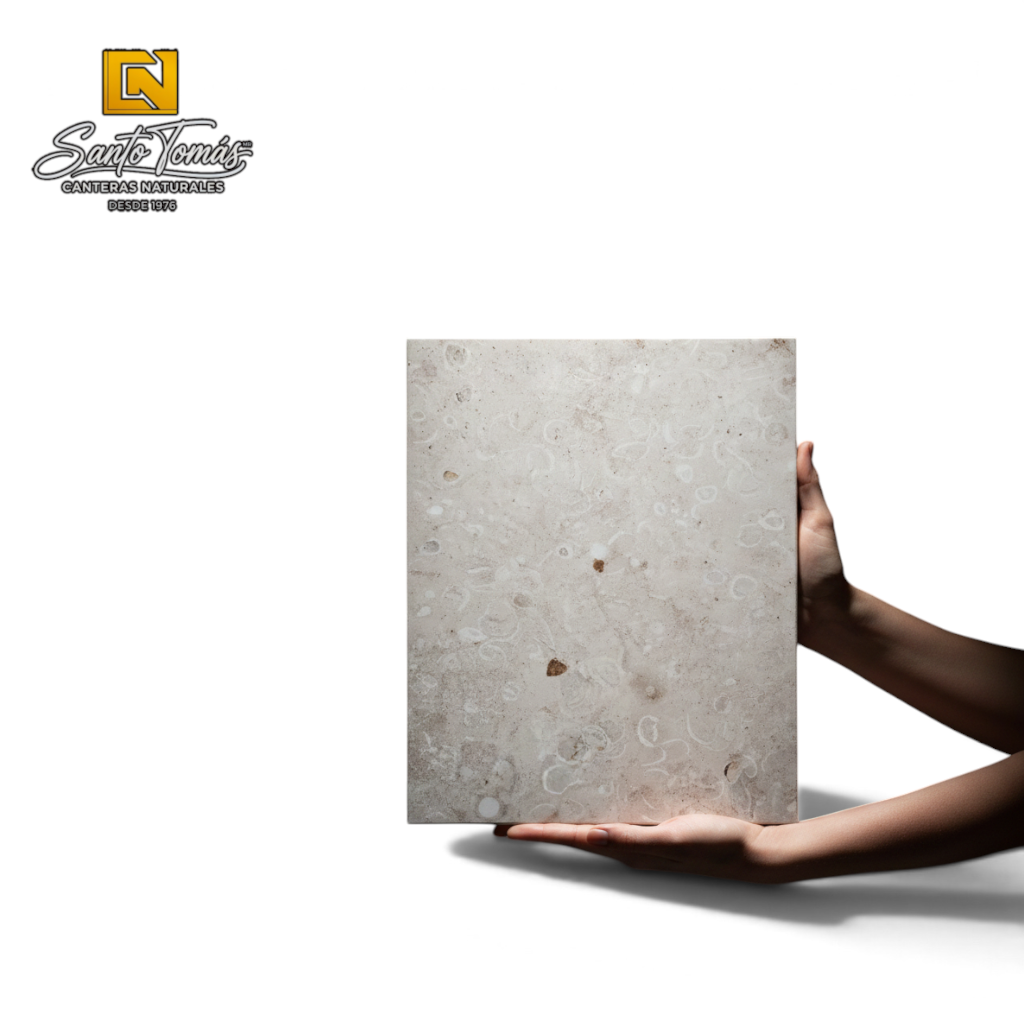Hands holding a Canteras Naturales Santo Tomás Conchuela stone tile with cream base and organic fossil patterns.