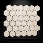 Estudio Fondo Negro - Malla Hexagonal Beige