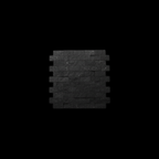 Estudio Fondo Negro - Malla Split Negro