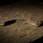 Laja Slate Madera — Macro