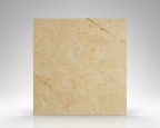 Century Gold Marble - Studio Template