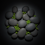 Mar Negra — Plantas