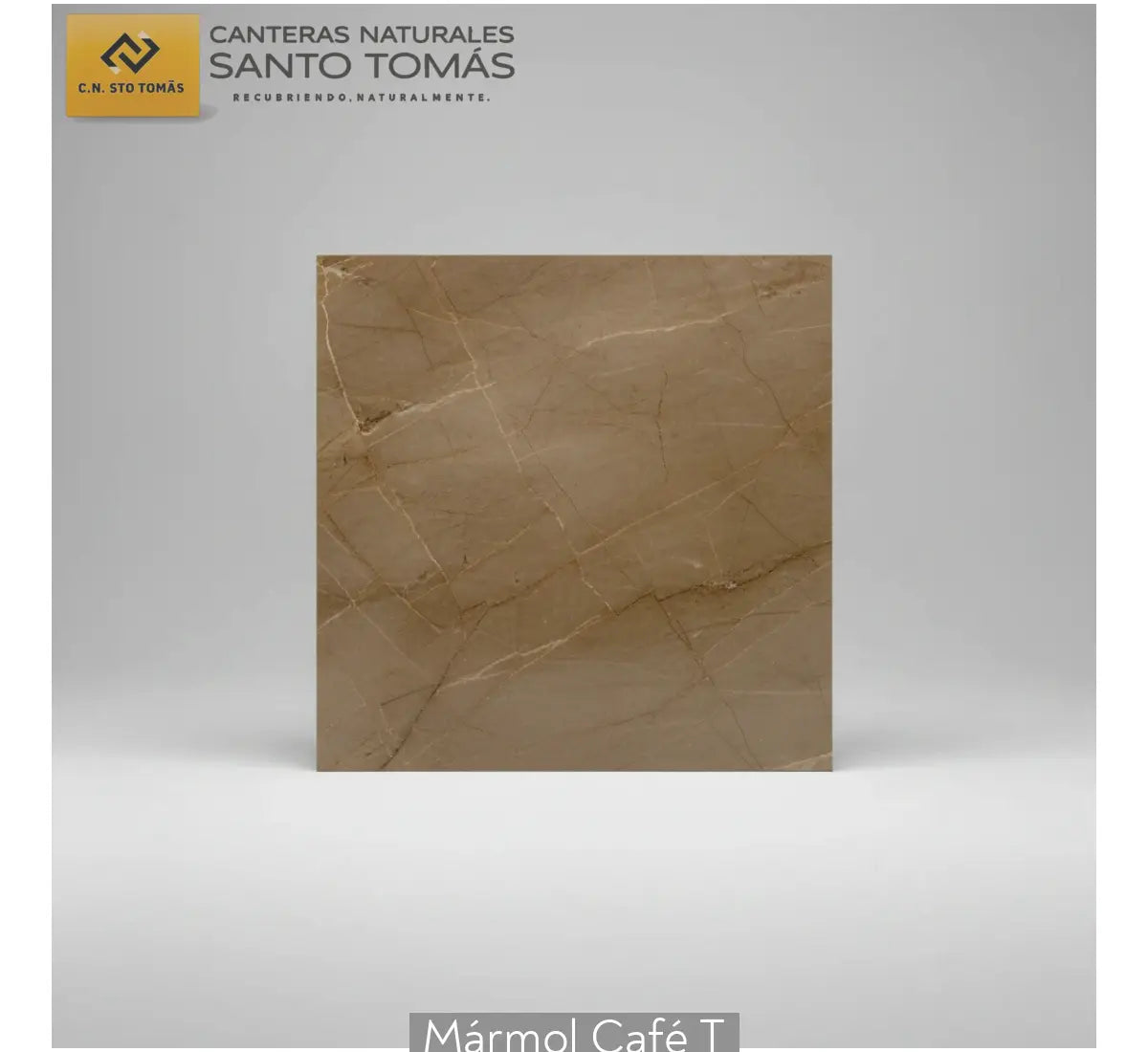 Mármol Café T - Plantilla Estudio