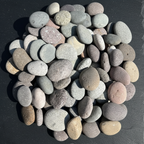 Multicolor — Cenital