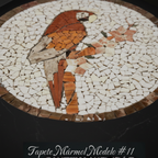Tapete Modelo #11 Guacamaya — Detalle