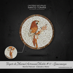 Tapete Modelo #11 Guacamaya — Editorial